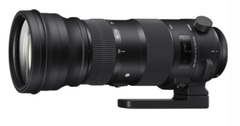  Sigma 150-600mm F5-6.3 DG OS HSM Sports 