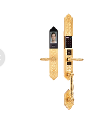 Khóa đại sảnh biệt thự Demax EL988 24K Brass App Wifi 