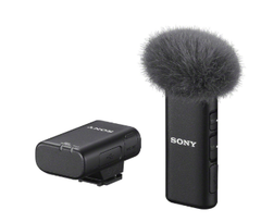  Sony ECM-W2BT 