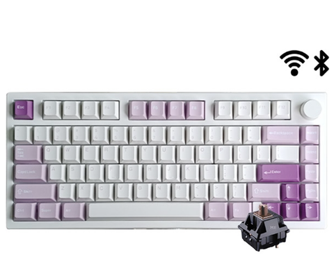BÀN PHÍM CƠ KHÔNG DÂY FL-ESPORTS GP75CPM WHITE BODY TARO PURPLE BROWN SWITCH