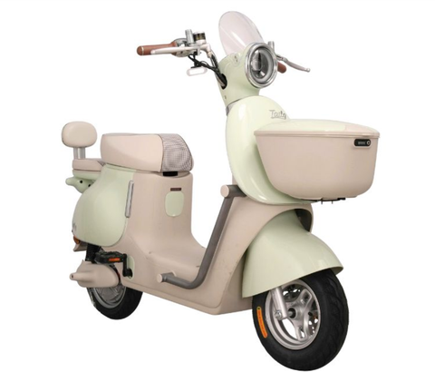 Xe điện TAILG GR54