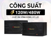 Loa Karaoke BIK BK C25 Bass 25cm Âm Thanh Chuẩn Nhật