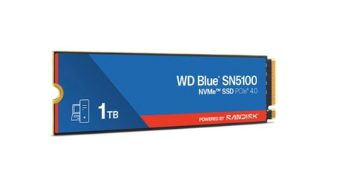 Ổ cứng SSD WD Blue SN5100 1TB M.2 NVMe PCIe Gen 4.0 kích thước cụ thể 2280