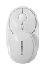 Chuột MICROPACK SPEED GLASS MP-720C