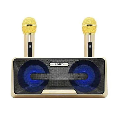 Loa karaoke SD301 SDRD