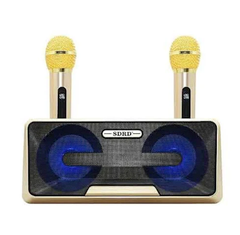  Loa karaoke SD301 SDRD 