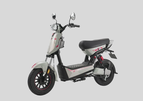 Xe đạp điện Espero T-Rex