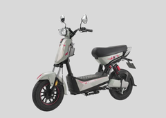  Xe đạp điện Espero T-Rex 