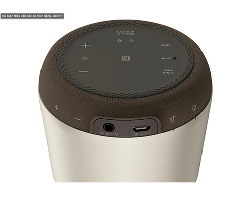 Loa không dây Sony LSPX-S2 SP6