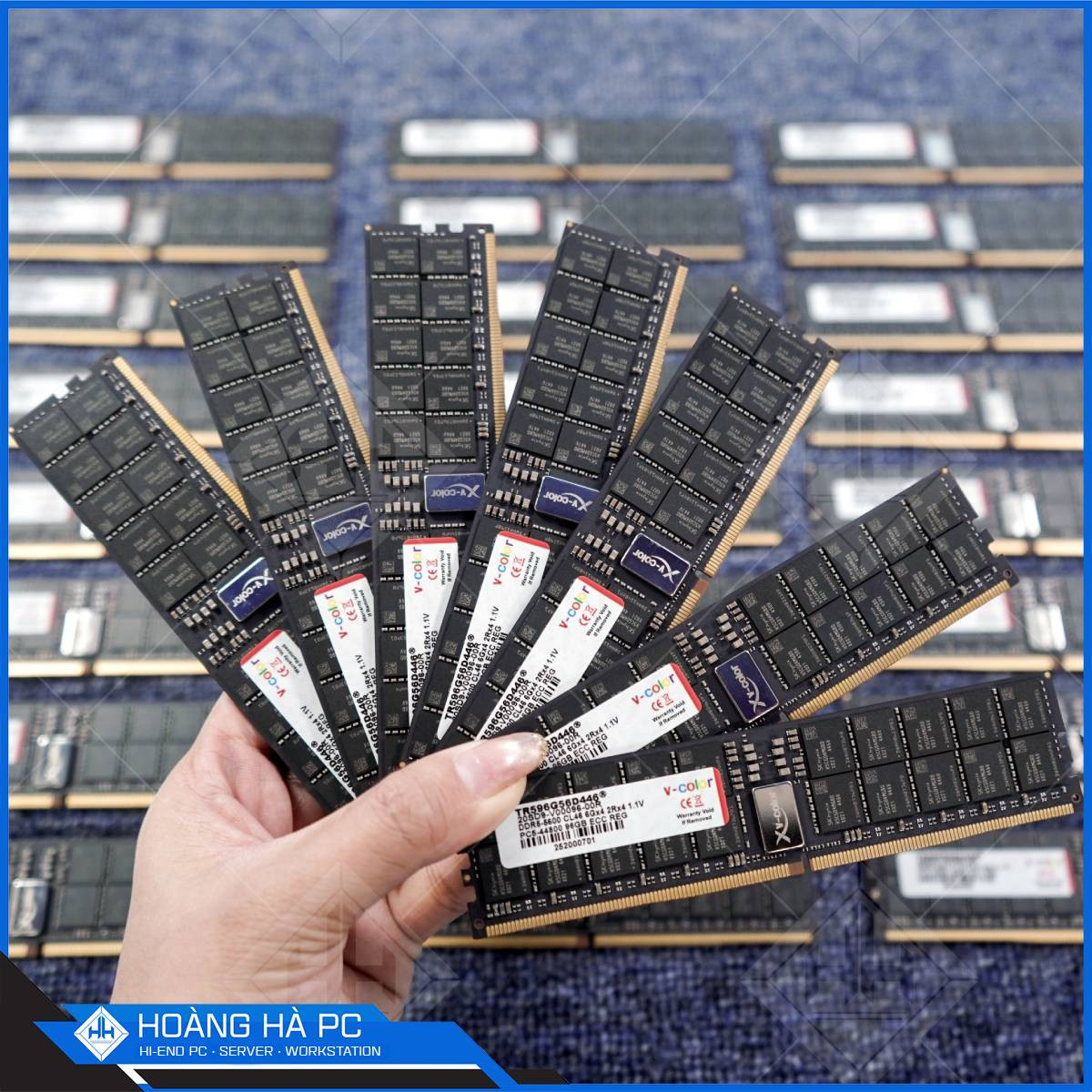 Ảnh minh họa RAM Server DDR5 V-Color PC5-44800 96GB 5600MHz ECC REG - CL46 (TR596G56D446) 3