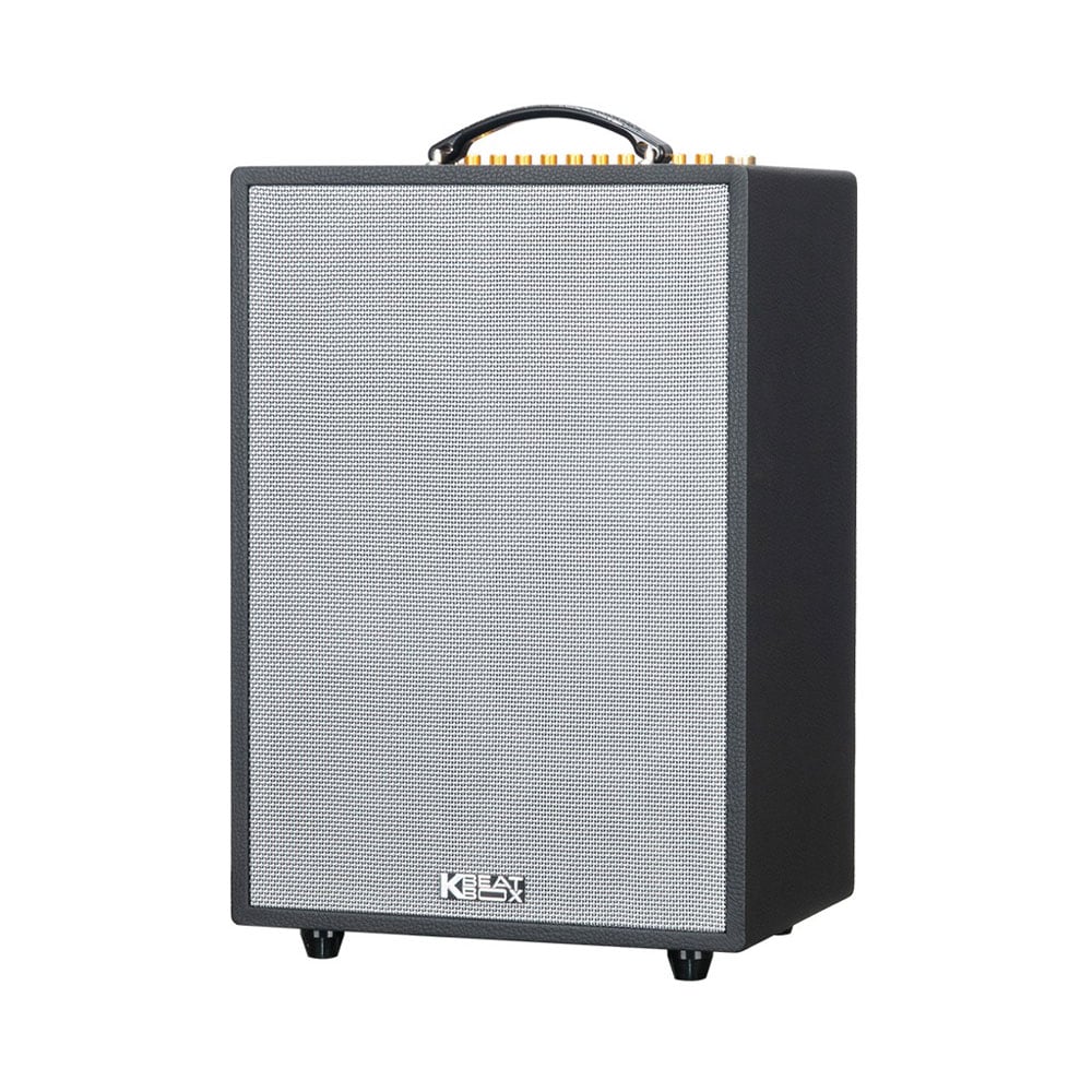 Ảnh minh họa SONCAMEDIA ePOP 100 – 8 Loa Trong 1 (200W RMS) Kèm 2 Micro 1