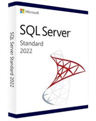  SQL Svr Std RUNTIME 2022 Iot ESD OEI 5Clt Std 