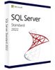 SQL Svr Std RUNTIME 2022 Iot ESD OEI 5Clt Std
