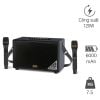Loa Neko NK900, 120W, Bass 10cm, Bluetooth 5.0, Kèm 2 Micro