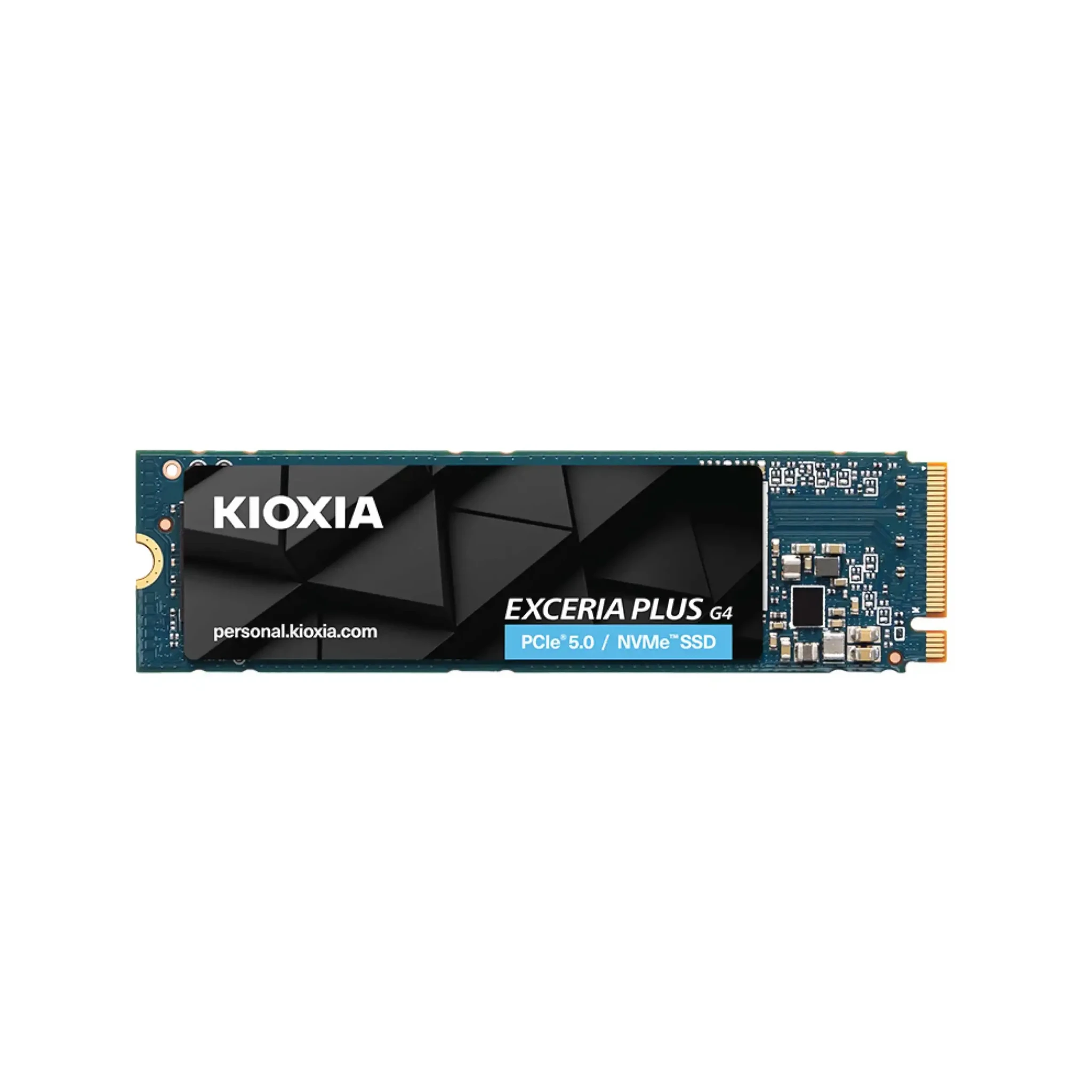 SSD Kioxia Exceria Plus G4 1TB PCIe Gen 5 (R 10,000 MB/s, W 7900 MB/s)
