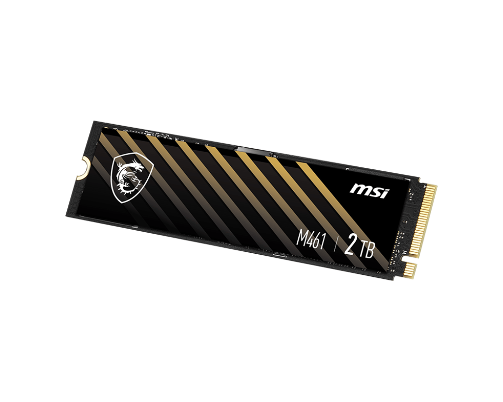 Ảnh minh họa SSD MSI SPATIUM M461 PCIe 4.0 NVMe M.2 1TB 3