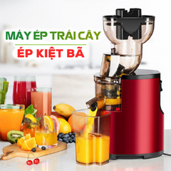  Hongxin RH312 Máy ép chậm Nhật Bản Giữ dinh dưỡng 97% 