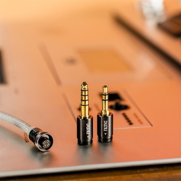 Ảnh minh họa Tai Nghe In Ear DUNU DK3001BD 3