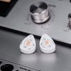 Tai Nghe In Ear DUNU DK3001BD