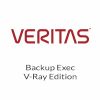 Veritas Backup Exec V-RAY Edition WIN 1 CPU On Premise Standard