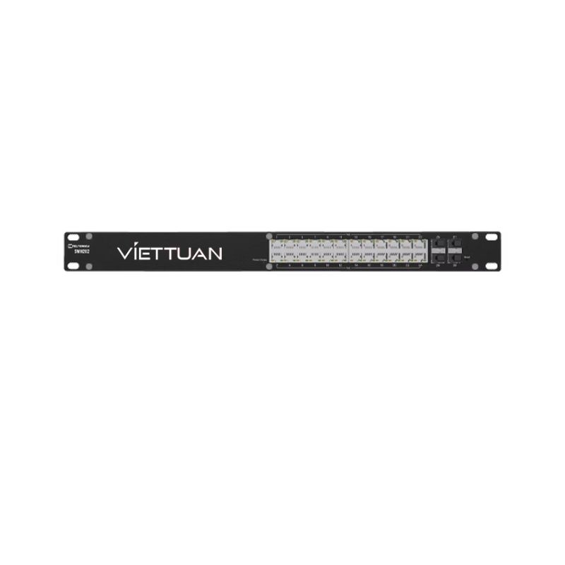 Ảnh minh họa Teltonika SWM282 1