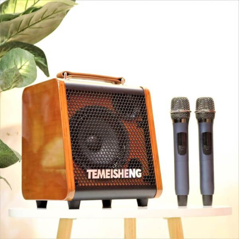 Ảnh minh họa TEMEISHENG JT0653 – Loa Xách Tay Mini Tích Hợp Vang Số Cao Cấp 1