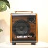 TEMEISHENG JT0653 – Loa Xách Tay Mini Tích Hợp Vang Số Cao Cấp