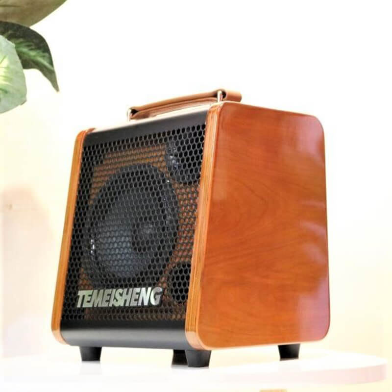 Ảnh minh họa TEMEISHENG JT0653 – Loa Xách Tay Mini Tích Hợp Vang Số Cao Cấp 3