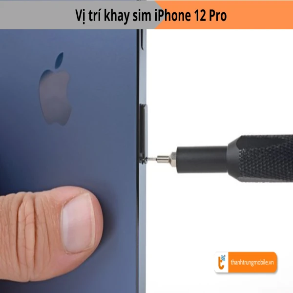 Ảnh minh họa Thay khay sim iPhone 12 Pro 2