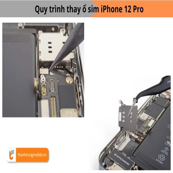 Ảnh minh họa Thay khay sim iPhone 12 Pro 3