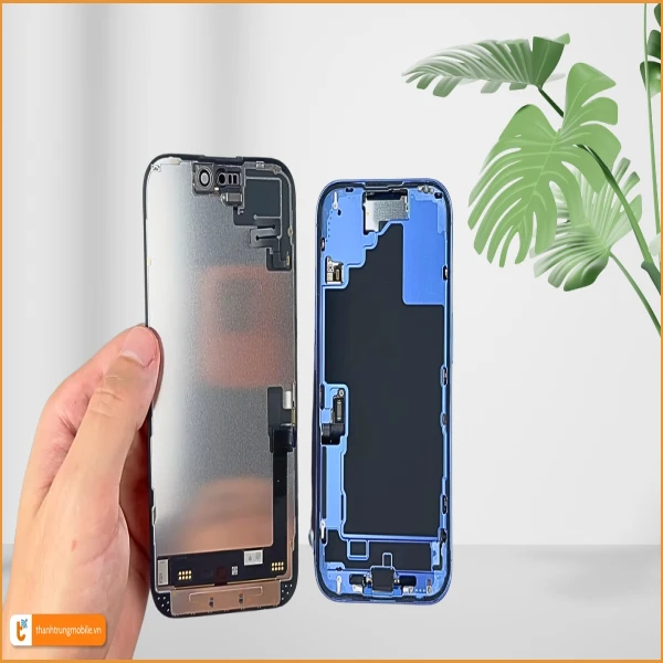 Ảnh minh họa Thay màn hình iPhone 16 Plus (A3290, A3082, A3289, A3291) 1