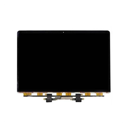 Thay Màn hình Macbook Pro A2289