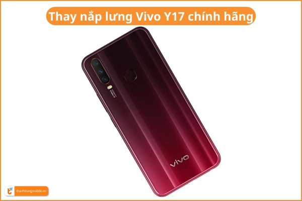 Ảnh minh họa Thay nắp lưng Vivo Y17 | Y17S 3