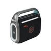 Thay Pin Loa Alpha Works Sonik 120