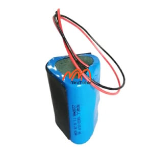 Ảnh minh họa Thay pin loa Edifier ES300 1