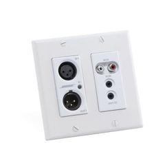  Thiết bị ControlSpace WP22BU-D 2x2 Wall Plate 