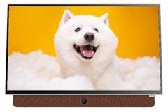  Google tivi xách tay Coocaa FHD 24 inch 24LP6000G 