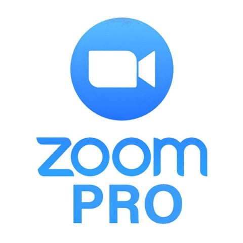 trực tuyến Zoom Workplace Pro 300 participants - Gói 1 năm (Domain)