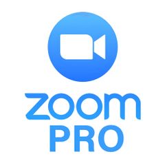  trực tuyến Zoom Workplace Pro 300 participants - Gói 1 năm (Domain) 