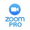 trực tuyến Zoom Workplace Pro 300 participants - Gói 1 năm (Gmail)