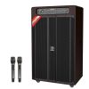Loa Dalton TS-21A2000, Bass 53cm, Công suất 2000W, Bluetooth 5.2, USB