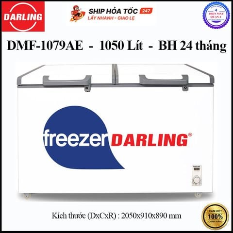 Tủ Đông 1 Ngăn Darling DMF-1079AE - Hàng chính hãng