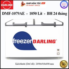  Tủ Đông 1 Ngăn Darling DMF-1079AE - Hàng chính hãng 