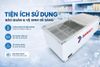 Tủ đông Sanaky 516 lít VH-999K
