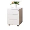 Tủ đựng văn phòng FlexiSpot RC2