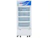 Tủ mát Alaska LC-233H - 160 lít