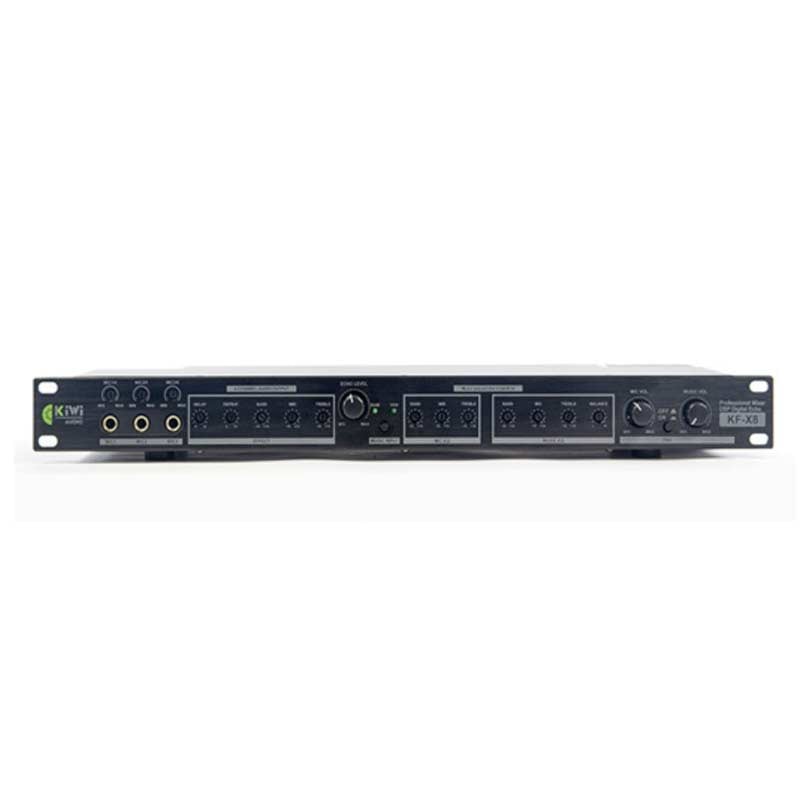 Ảnh minh họa Vang cơ Kiwi KF X8 chống hú rít, Echo kép 1