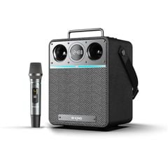 W-King T6S – Loa Karaoke Di Động 80W, 1 Micro 