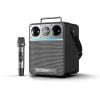 W-King T6S – Loa Karaoke Di Động 80W, 1 Micro