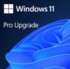 Windows 11 Pro Upgrade